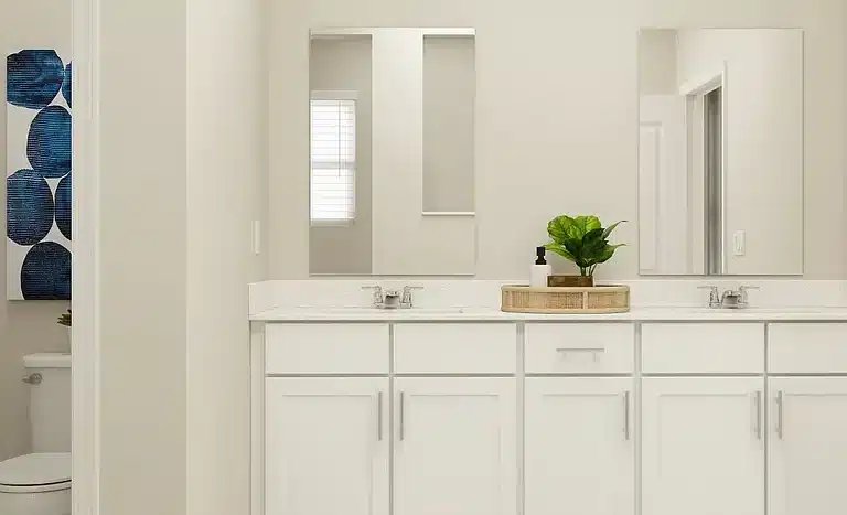 6cc8d8b1e62d272c87ae3ed3ea0a604c cc ft 768