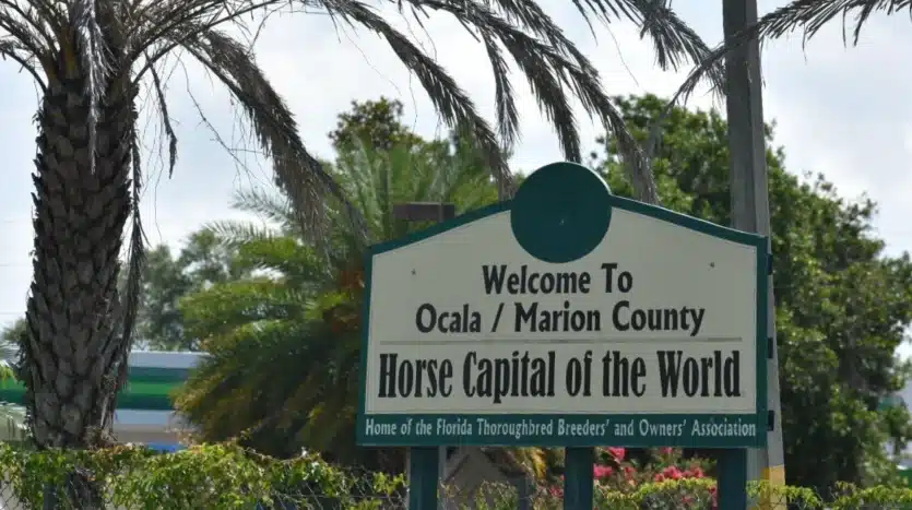 Welcome to OcalaMarion County Horse Capital of the World