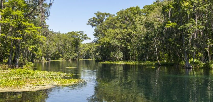 140521 120214 1200x400 (1)