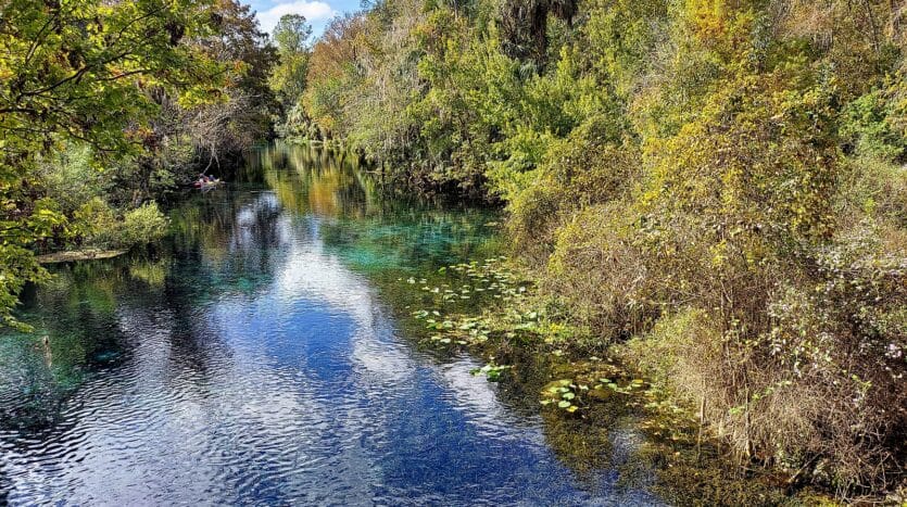 Silver Springs State Park 1