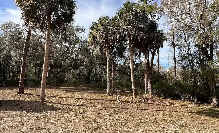 7fb8a6cb3f1d352542037bb0f3cac49c cc ft 768