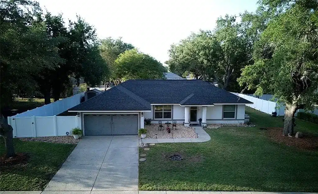 video image